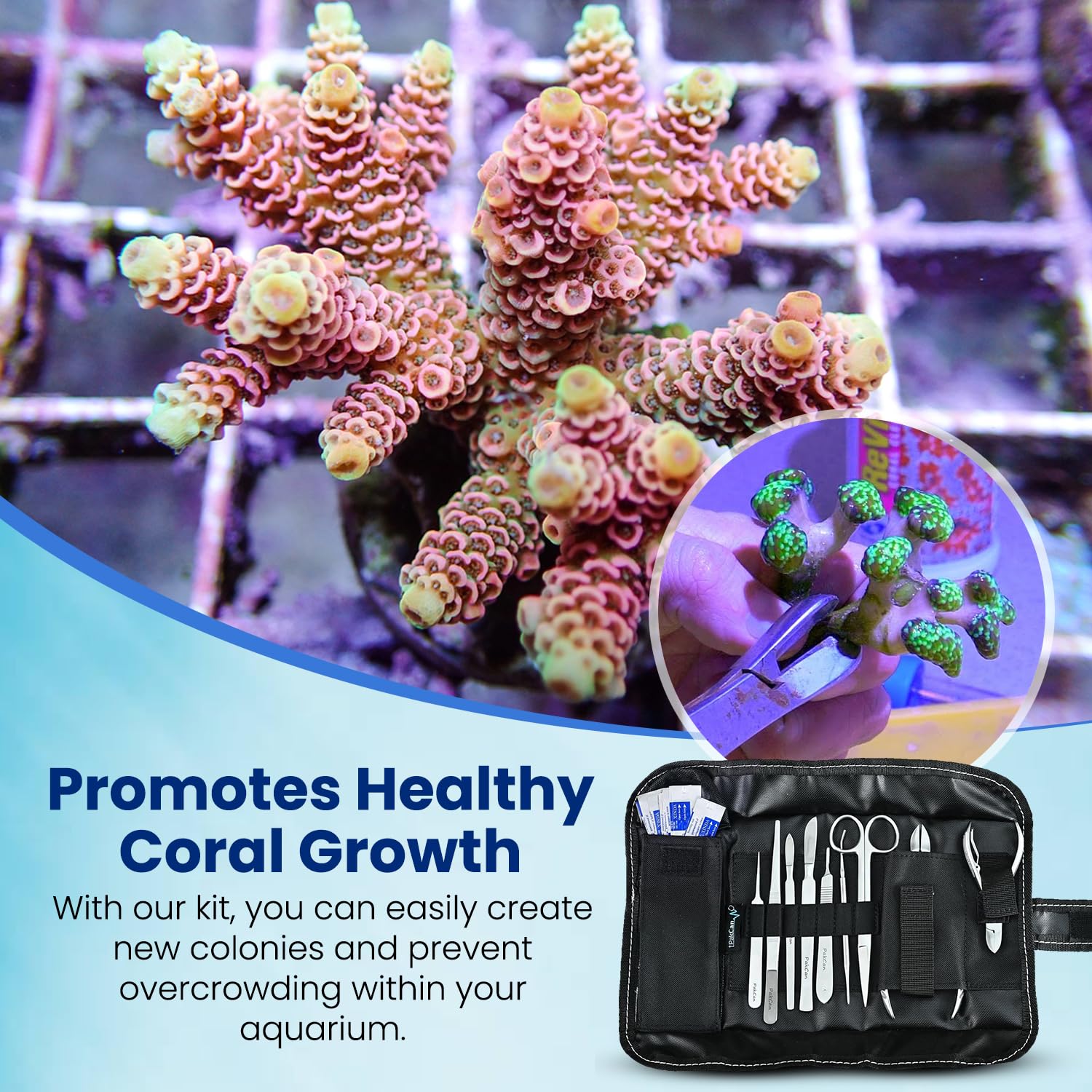 PakCan safety grips improve control while fragging delicate corals.