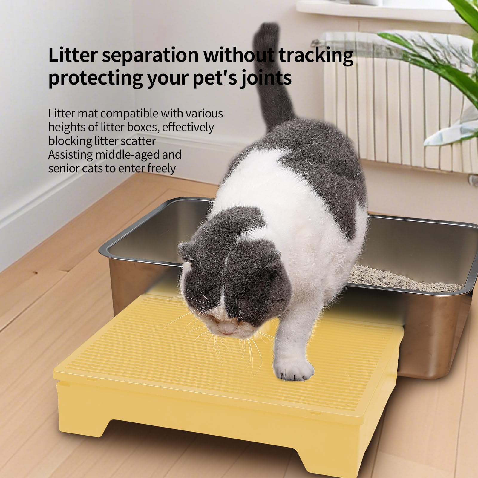 PAKEWAY Cat Ramp height 6.3in suits tall high-entrance boxes and comfort