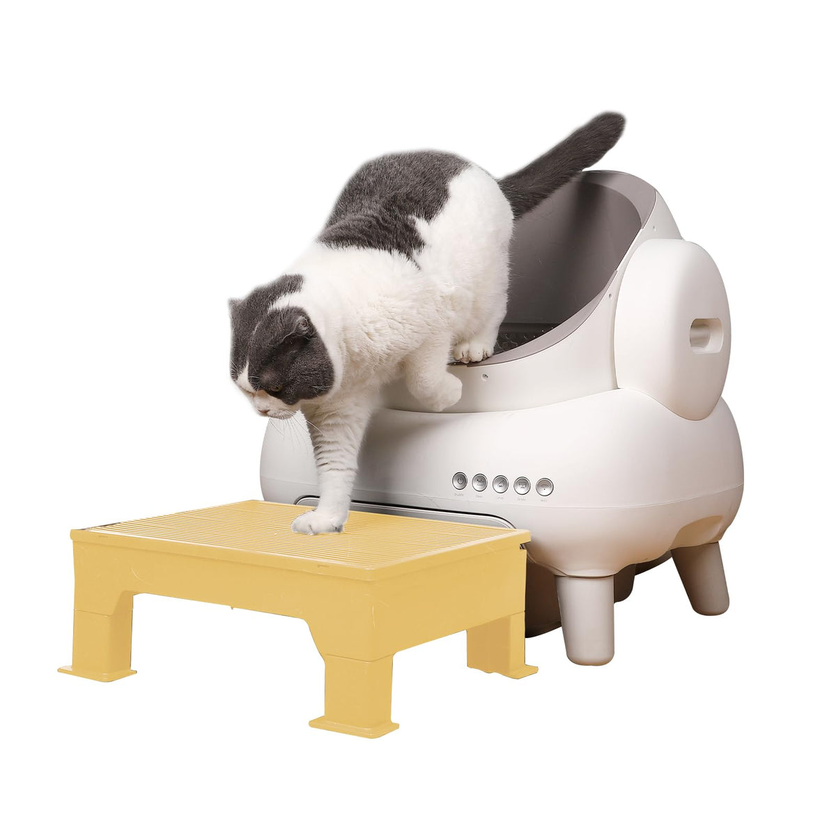 PAKEWAY Cat Ramp height 3.54in dual-step design eases access for small kittens