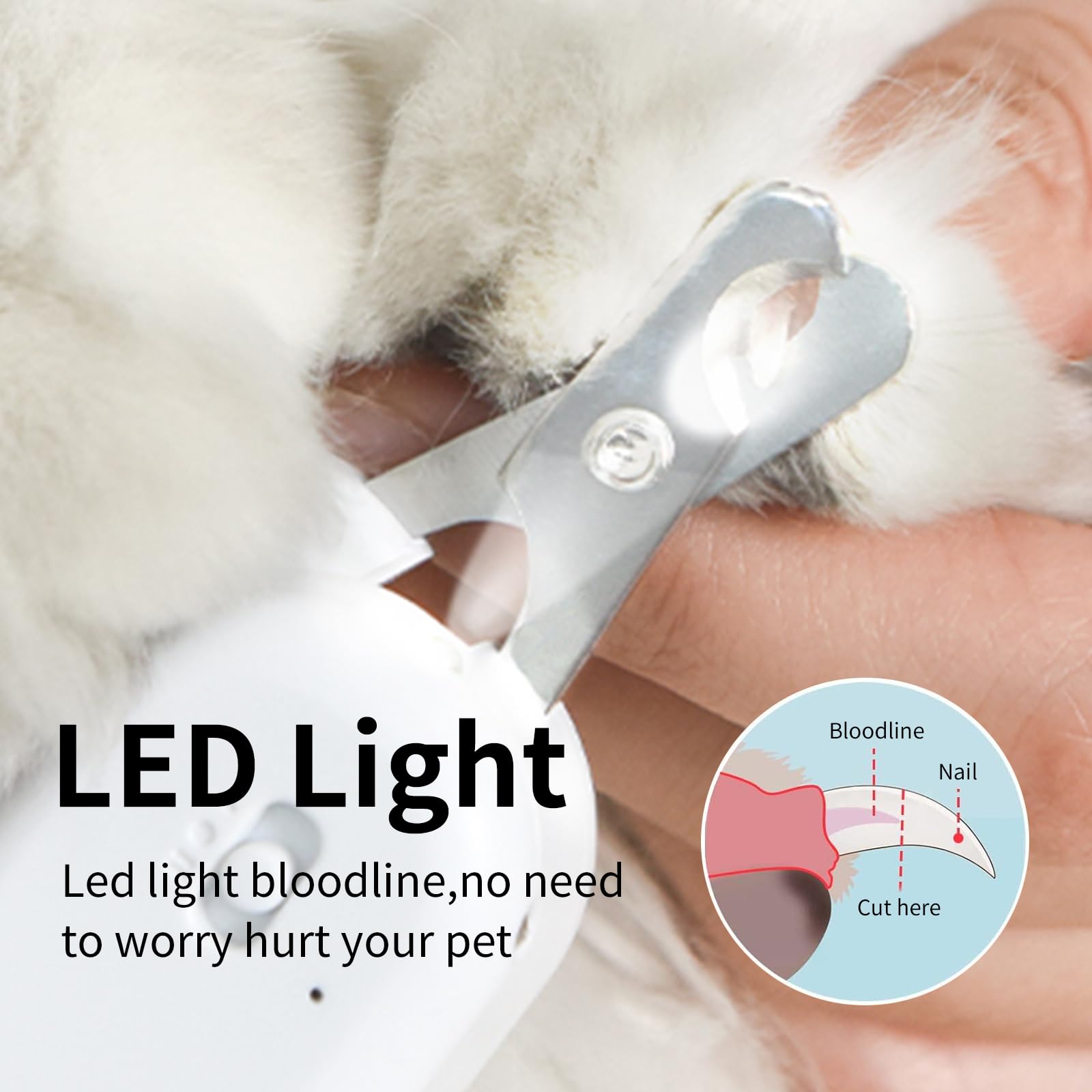 PAKEWAY pet nail clipper UV-lamp highlights skin irregularities under purple light