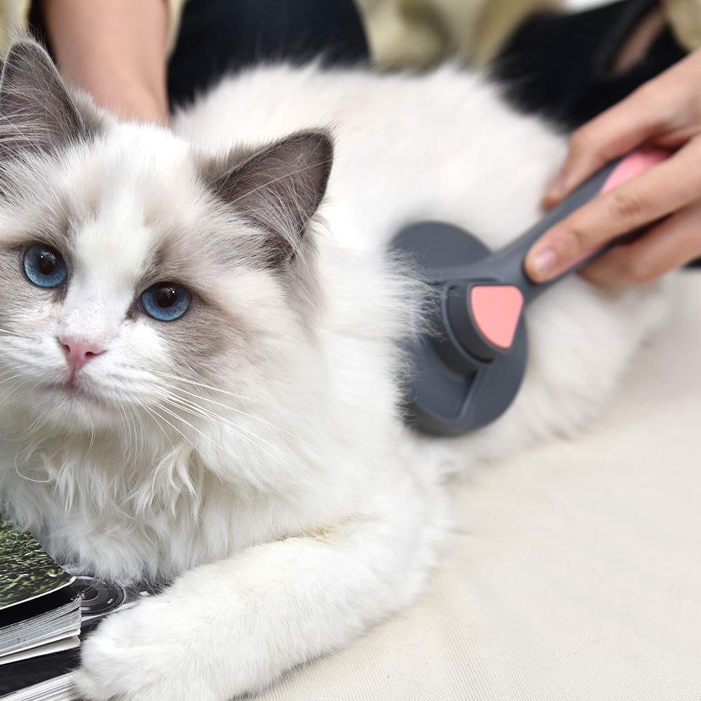 PAKEWAY Brush with soft rubber cap protects pet skin