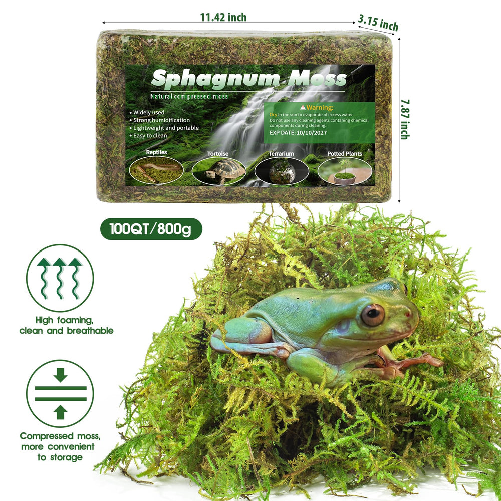 Pakimi moss layered with substrate for a comfortable habitat