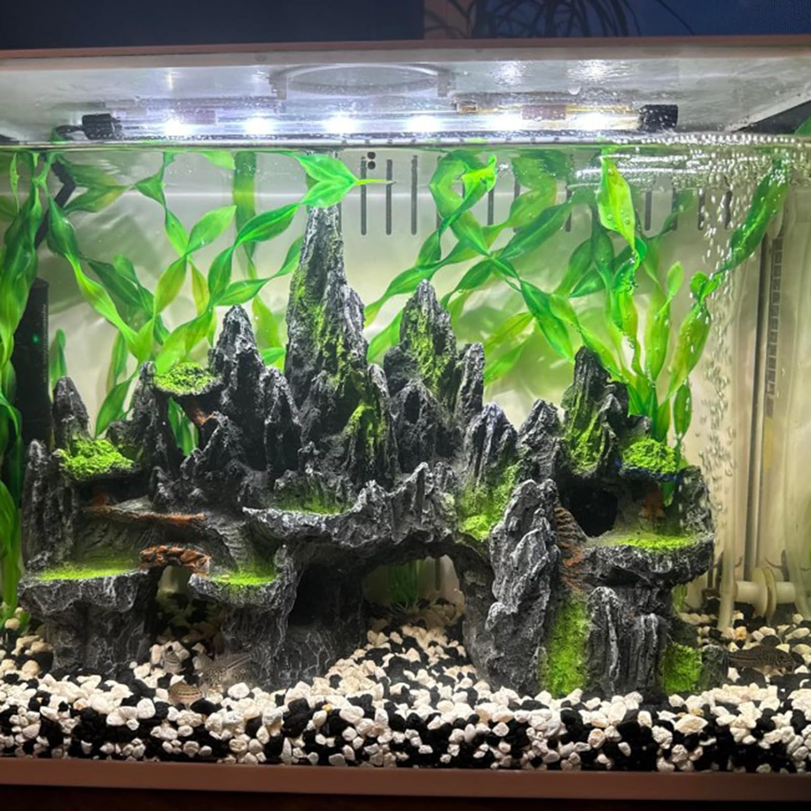 PakyKai artificial plants included for easy landscaping.