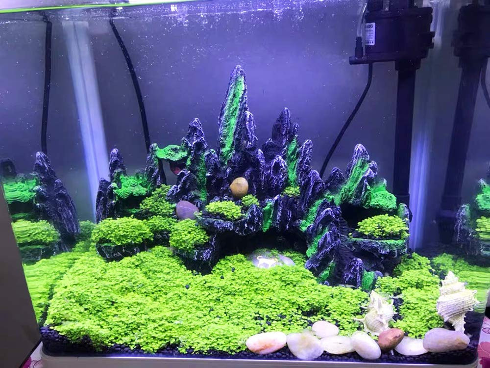 PakyKai rock mountain ornament for realistic aquarium landscape.