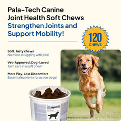 Pala Tech Canine Joint Soft Chews pour bottle showing container and chews