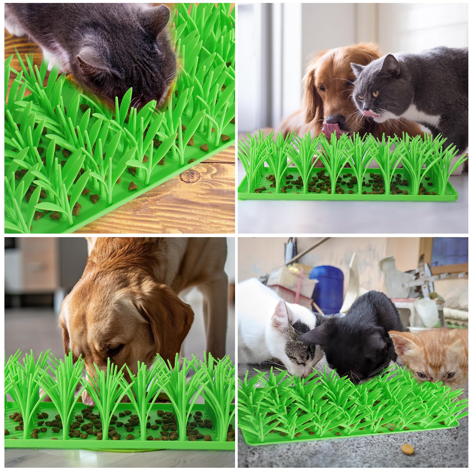Palksky green cat grass mat image showcases sustainable indoor enrichment.