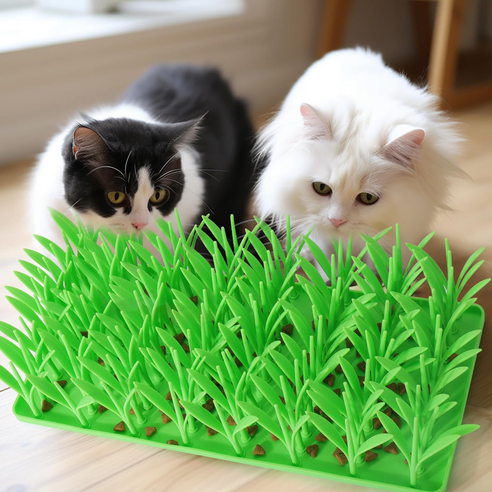 Palksky interactive enrichment cat mat adds sensory engagement during playtime.