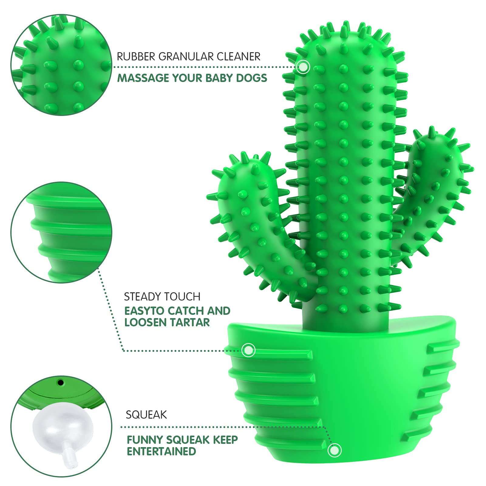 Pamlulu dog chew toy bounce and fetch for interactive play.