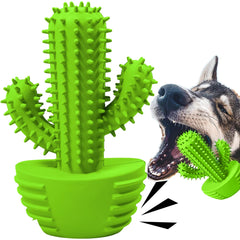 Pamlulu cactus tough chew toy in action for aggressive chewers