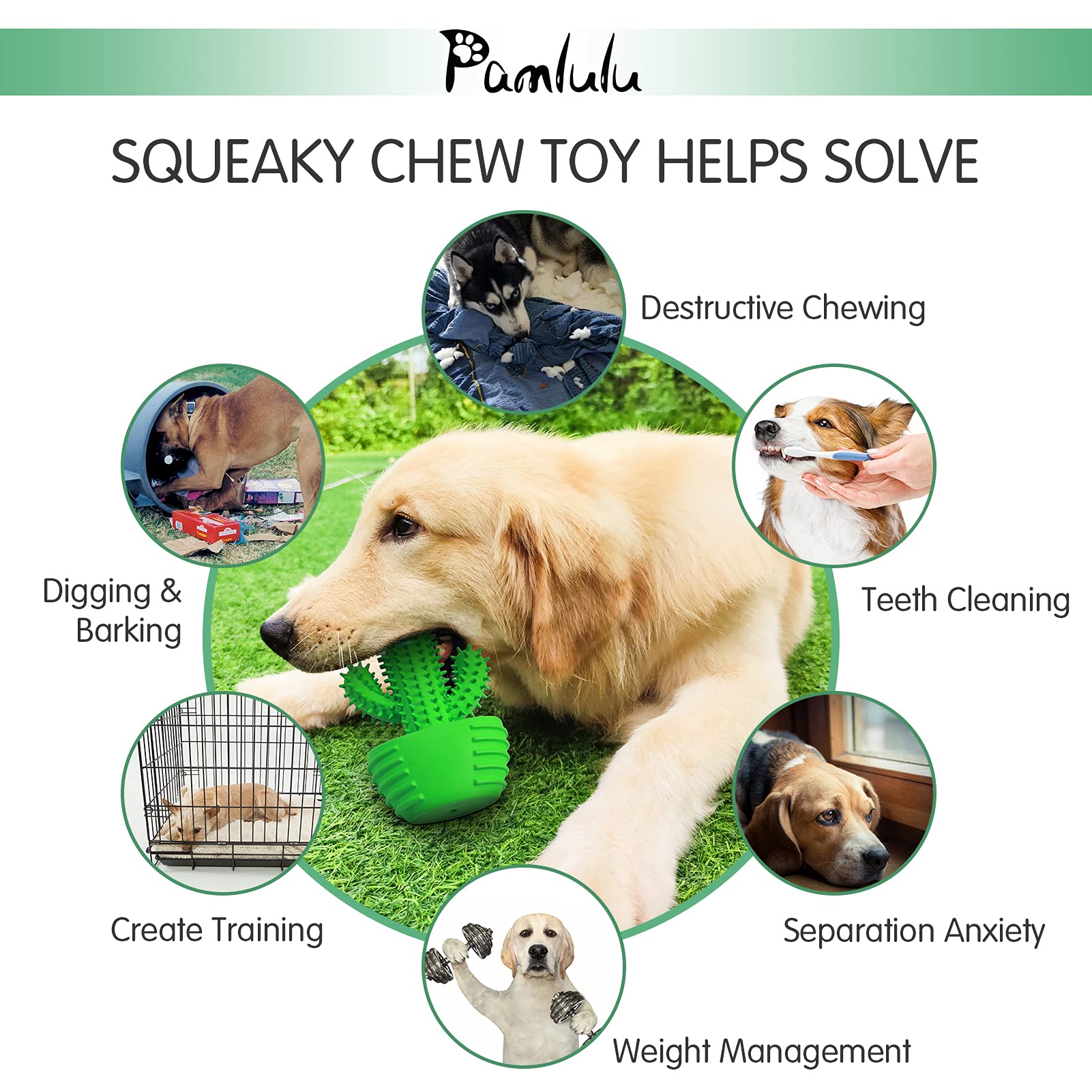 Pamlulu dog chew toy easy cleaning suggests dishwasher-safe maintenance.