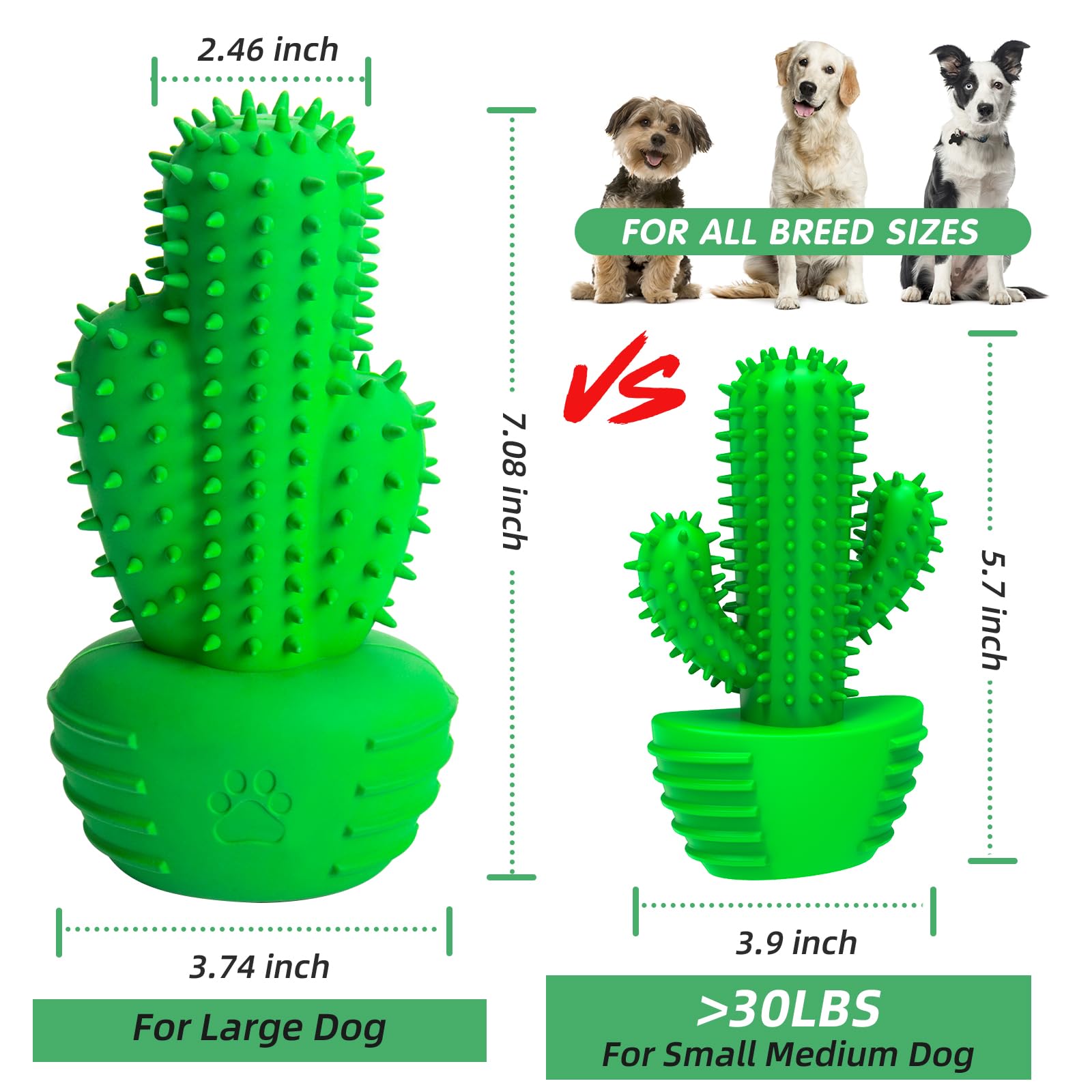 Pamlulu dog chew toy squeaky-bounce adds interactive fun for dogs.