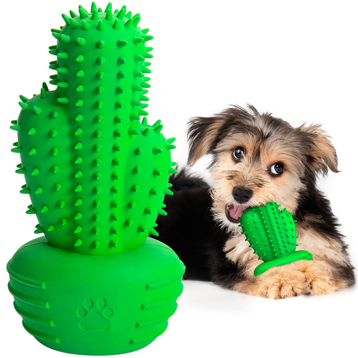 Pamlulu dog toy with bristles for brushing teeth during play