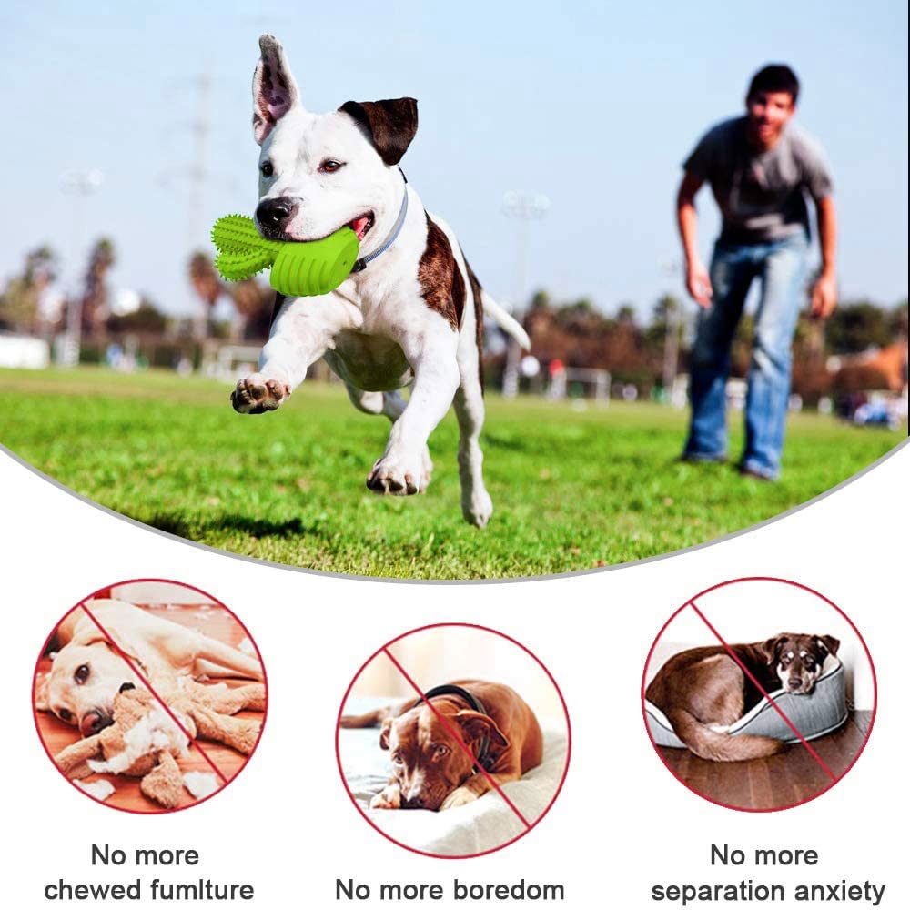 Pamlulu squeaky base adds entertaining sound to keep dogs engaged
