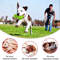 Pamlulu squeaky base adds entertaining sound to keep dogs engaged