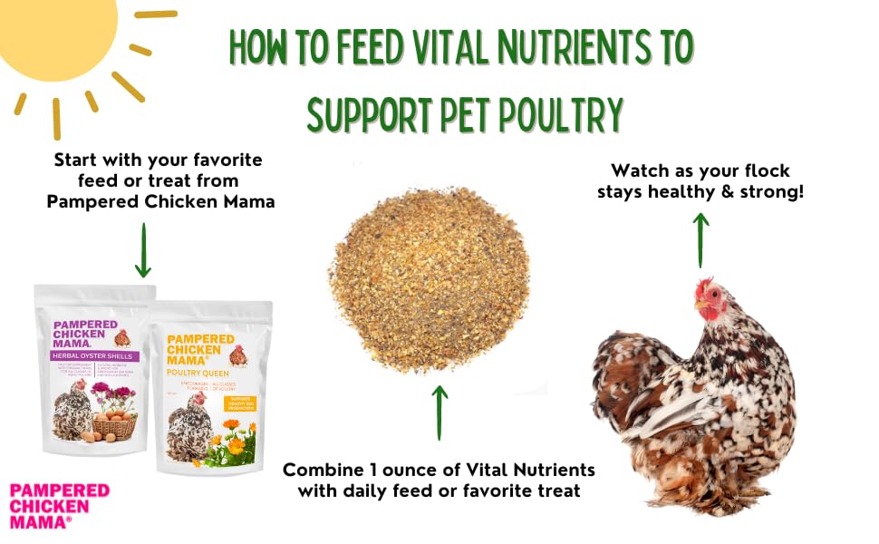 Pampered Chicken Mama easy-mix-with-feed shot showing hens accepting the blend during daily feeding.
