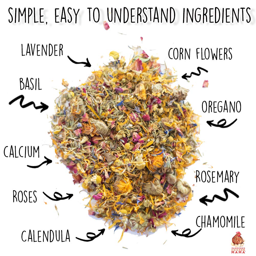 Pampered Chicken Mama herbs being spread in coop for tasty, safe hen treats.