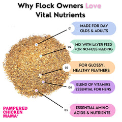 Pampered Chicken Mama feed-mix with vitamins shown being added to poultry feed for easy use.