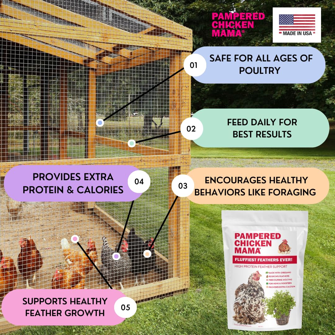 Pampered Chicken Mama hens-eating image shows easy-to-use feed supplement addition.