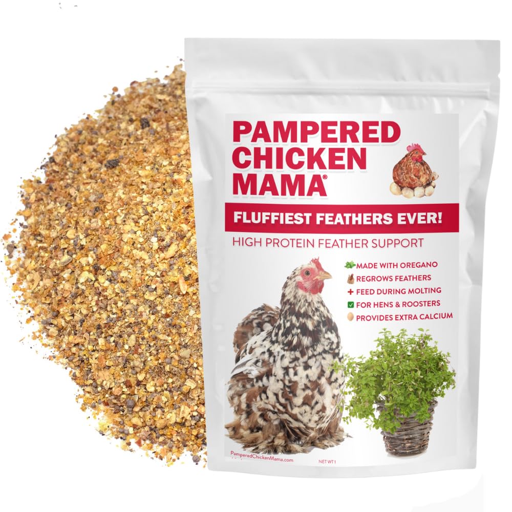 Pampered Chicken Mama molting supplement bottle supports protein-rich diet for stronger feathers.