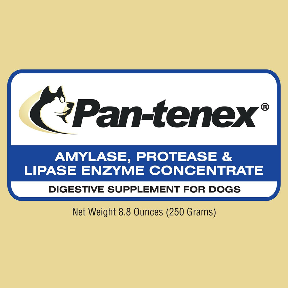 Pan-tenex porcine pancreatic enzyme powder for dogs aids nutrient absorption during meals.
