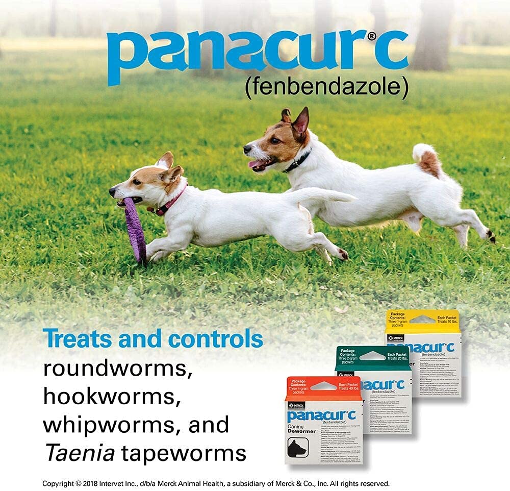 Panacur C packaging close-up with dog context illustrates parasite control use.