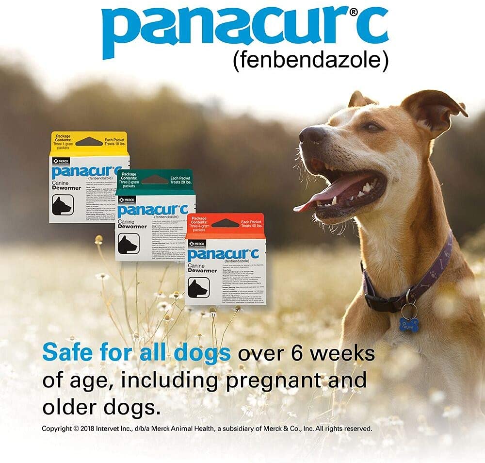 Panacur C dog meal dose visual for convenient administration.