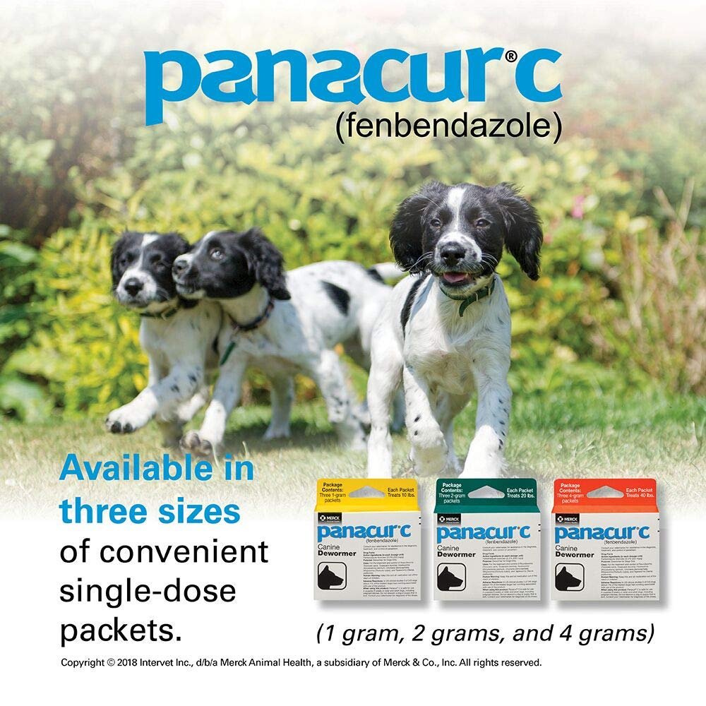 Safe for pregnant dogs label highlights suitability during pregnancy.