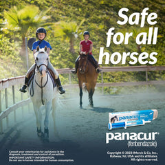 Panacur horse paste applicator used at horse mouth for smooth administration
