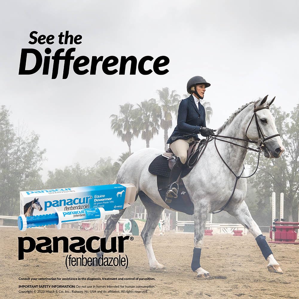 Panacur horse paste dosing syringe for precise application
