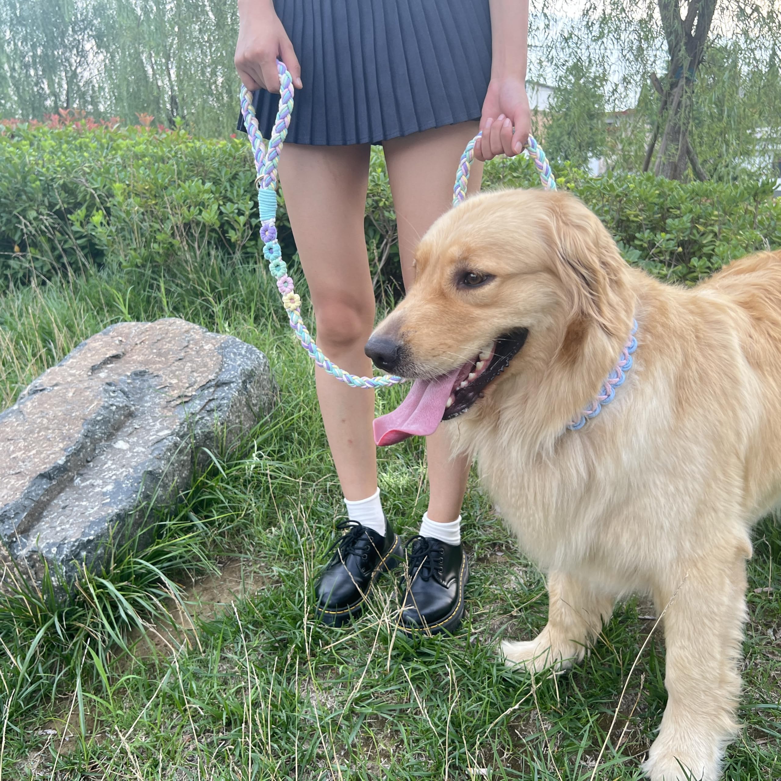 Panda Jianghu leash suitable for all dog sizes and training scenarios