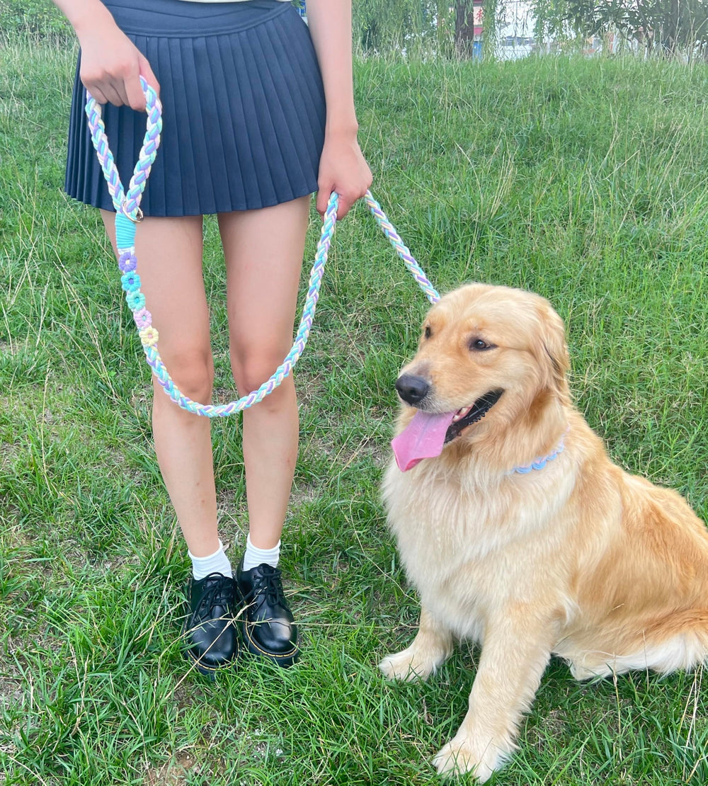 Panda Jianghu braided cotton leash highlights durable craftsmanship for all weather