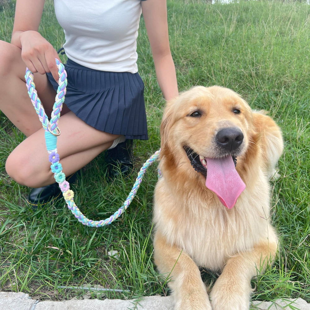 Panda Jianghu handmade leash shows comfortable grip during strong pulls