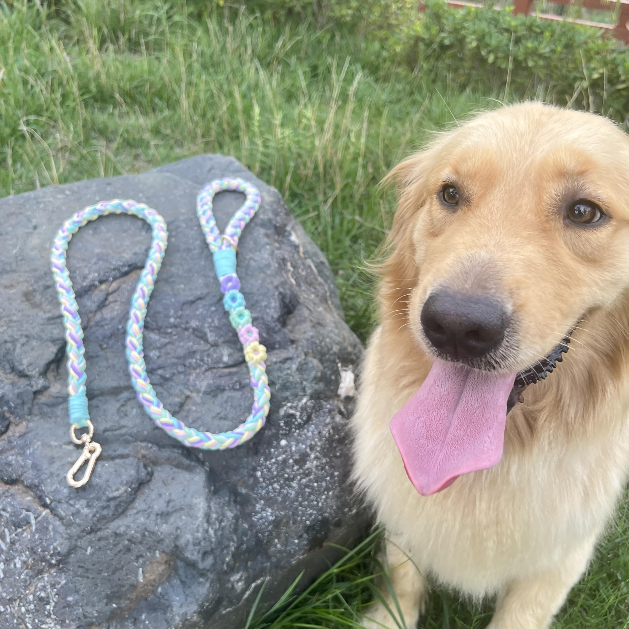 Panda Jianghu rainbow color leash captures vibrant hues for share worthy moments