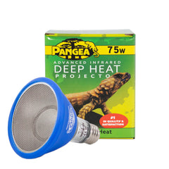Pangea 75W deep heat projector front view for reliable reptile basking heat