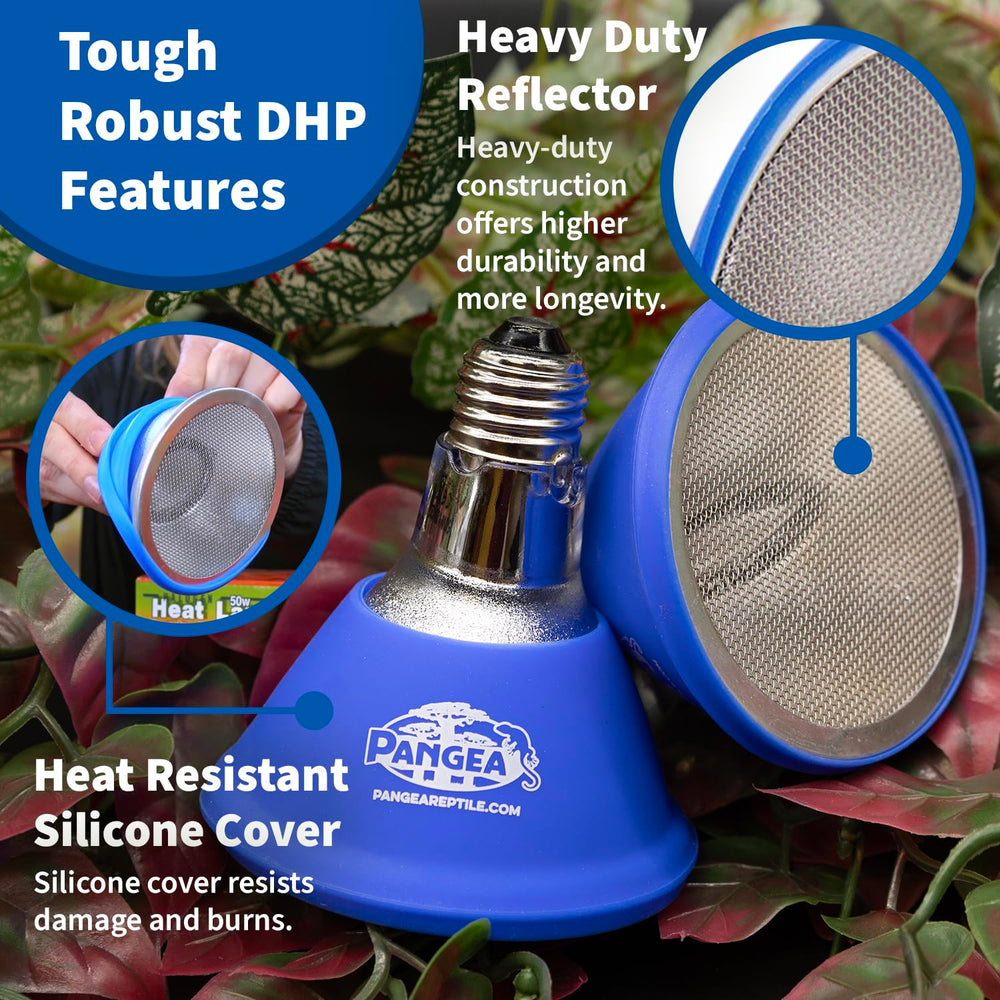 Pangea ceramic socket setup image demonstrating outlet compatibility