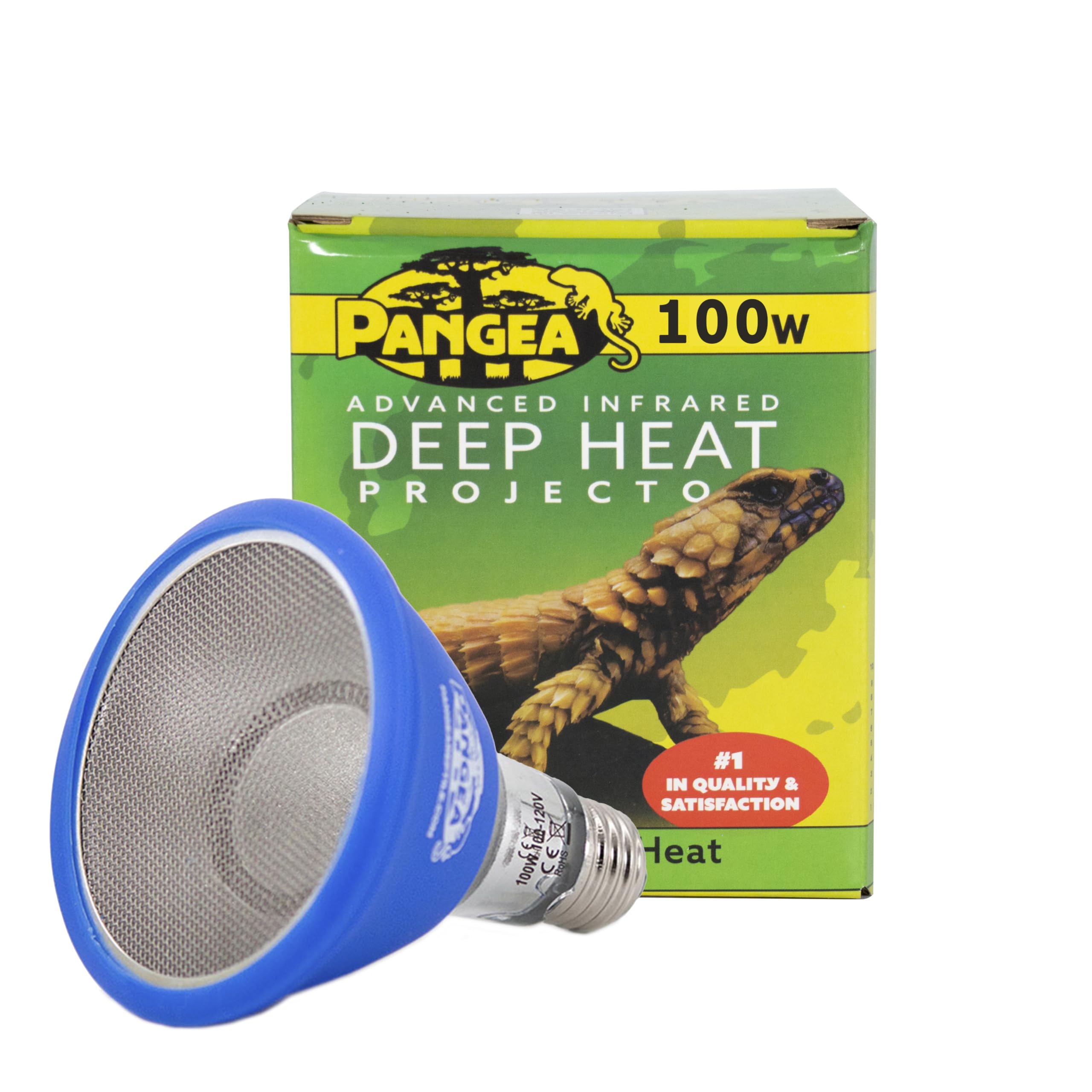 Pangea Deep Heat Projector basking setup for reptiles delivers steady warmth for active reptiles
