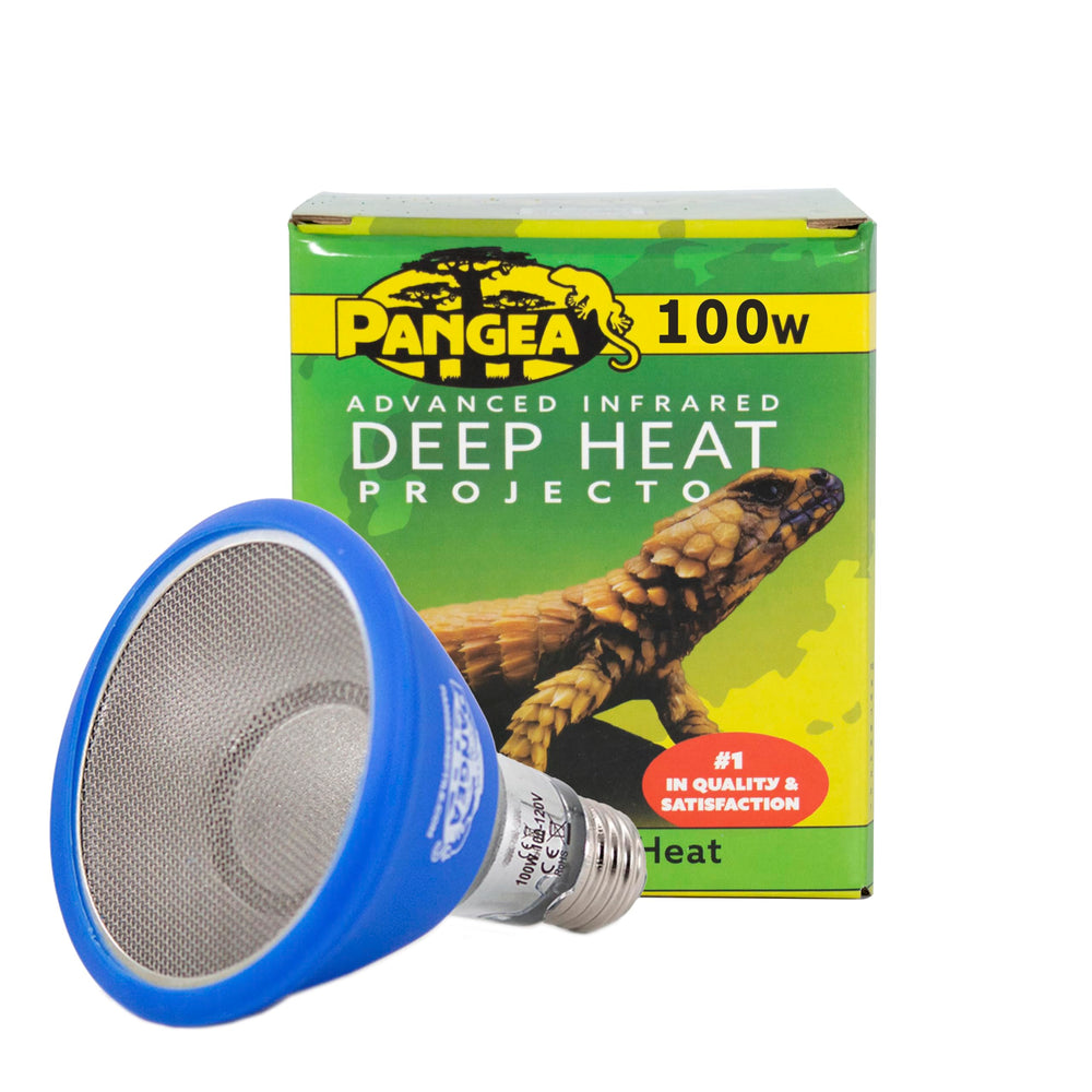 Pangea Deep Heat Projector basking setup for reptiles delivers steady warmth for active reptiles