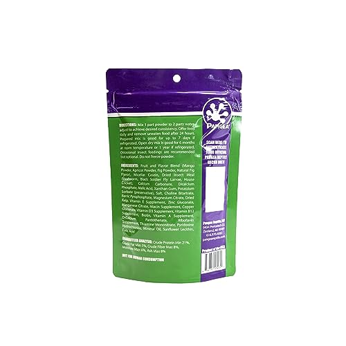 Pangea Fruit Mix Fig & Insects serving-dish ready for daily gecko feeding