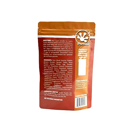 Pangea Gecko Diet Apricot serving in bowl showing enticing taste for fruit-eating geckos