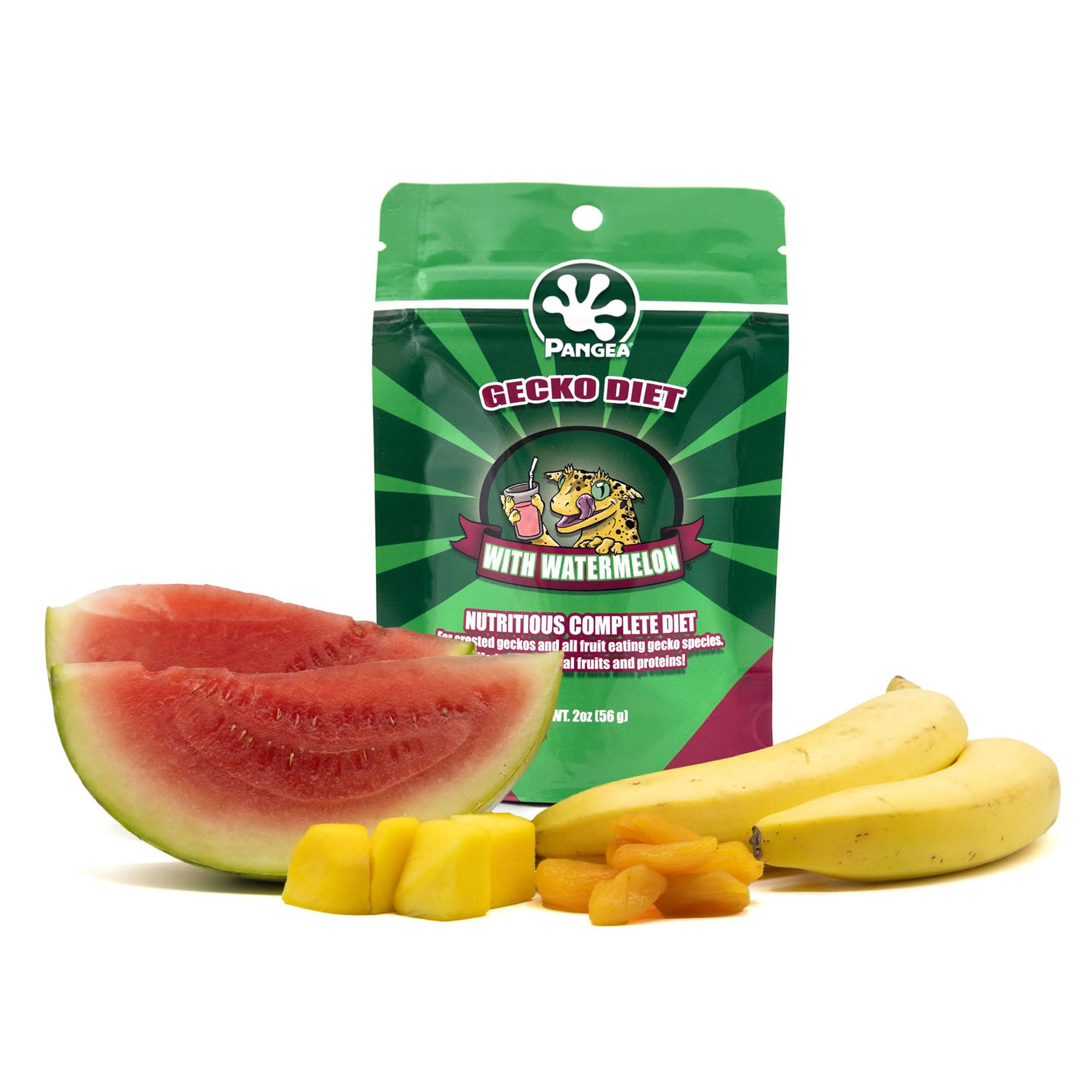 Pangea Gecko Diet with Watermelon demonstrates enthusiastic feeding in geckos