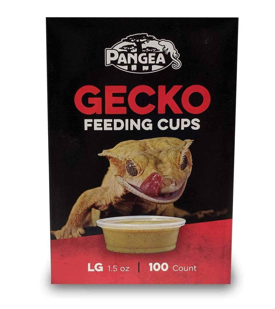 Pangea Gecko Ledge cups closeup shows secure fit and durable design for long-term use.