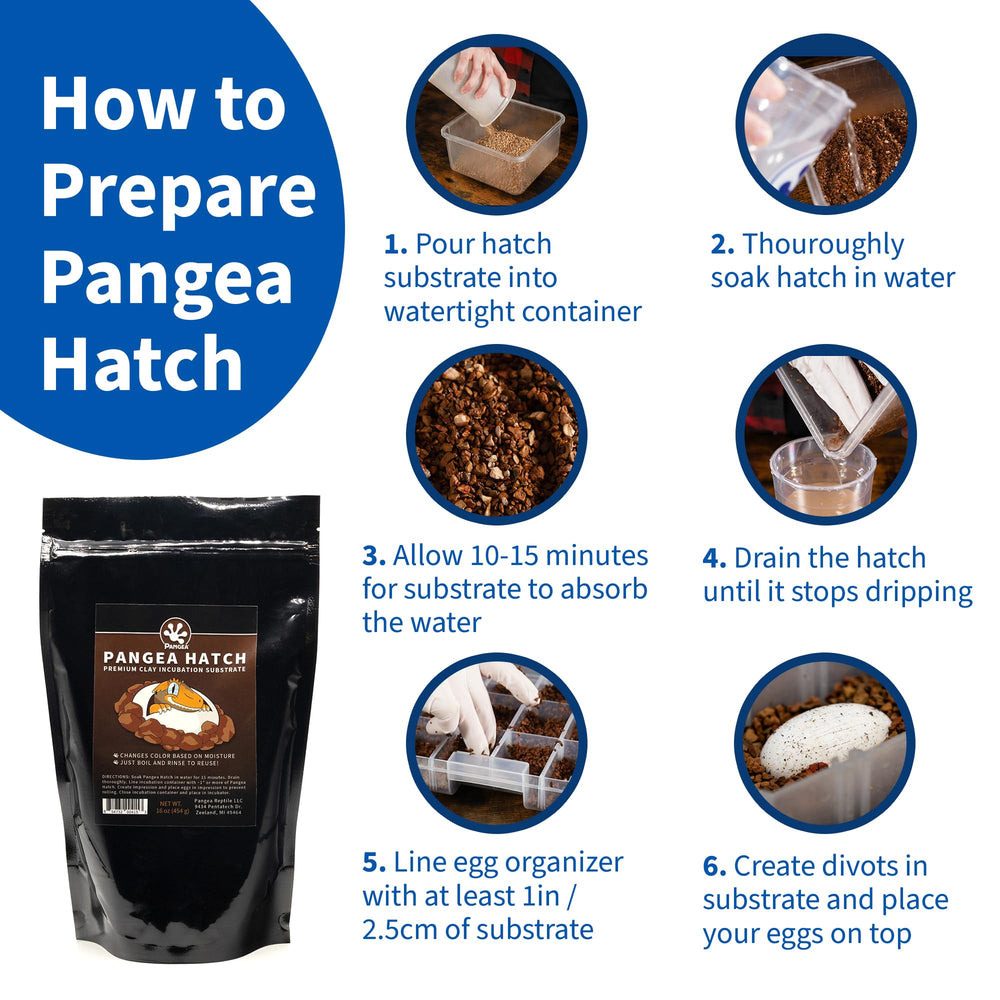 Pangea Hatch porous structure supports airflow and even moisture distribution