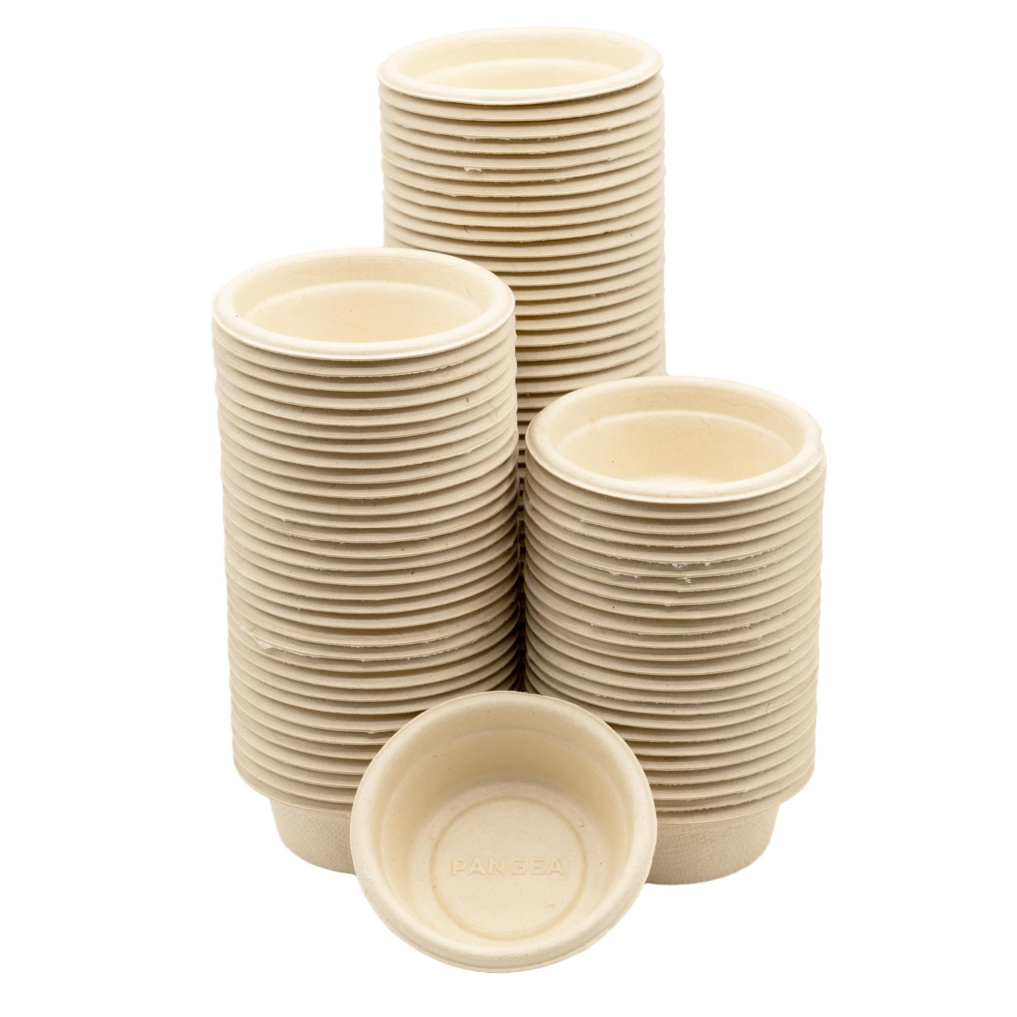 Pangea large paper crested gecko cups setup for mess-free dining