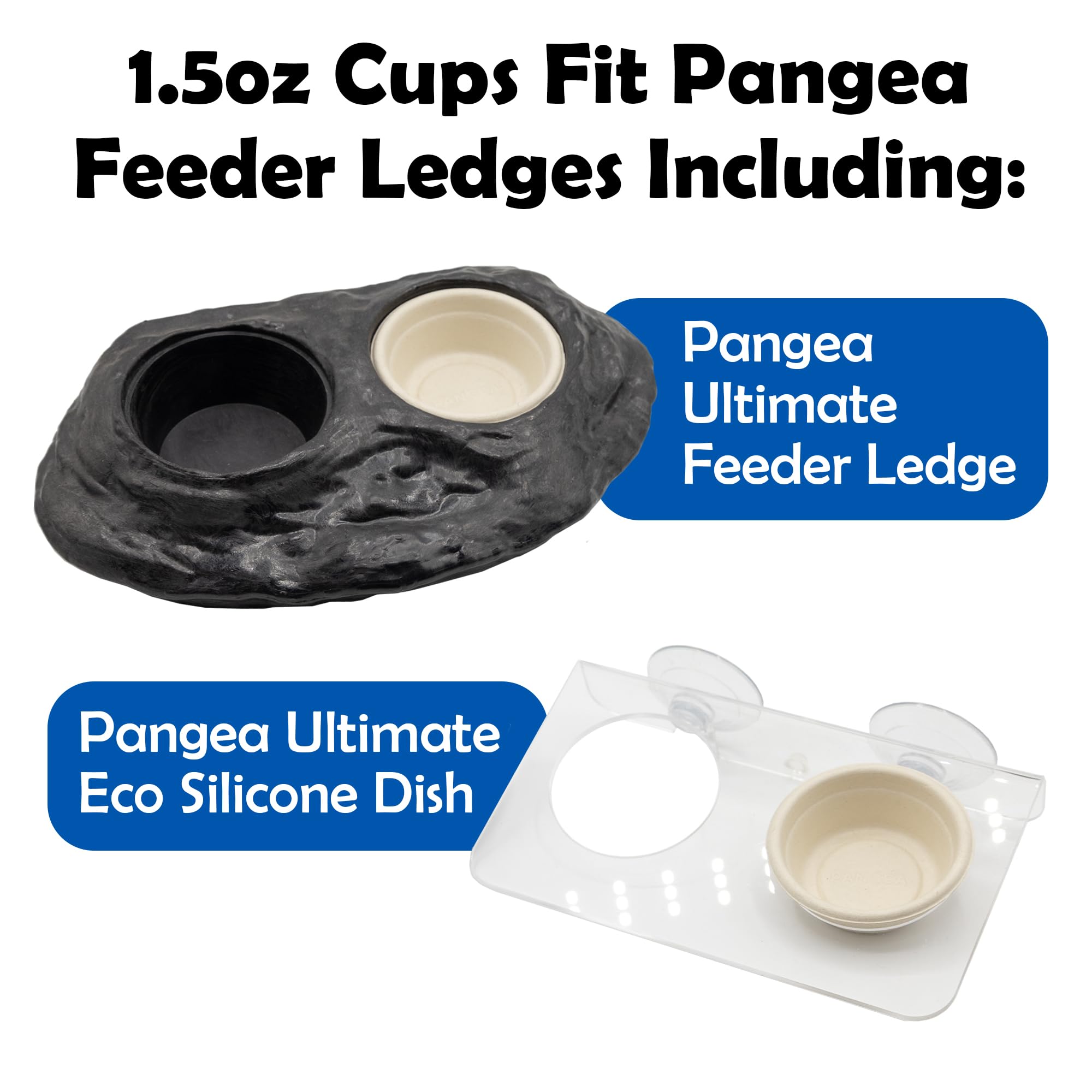 Pangea ledge-compatible setup with cups in use