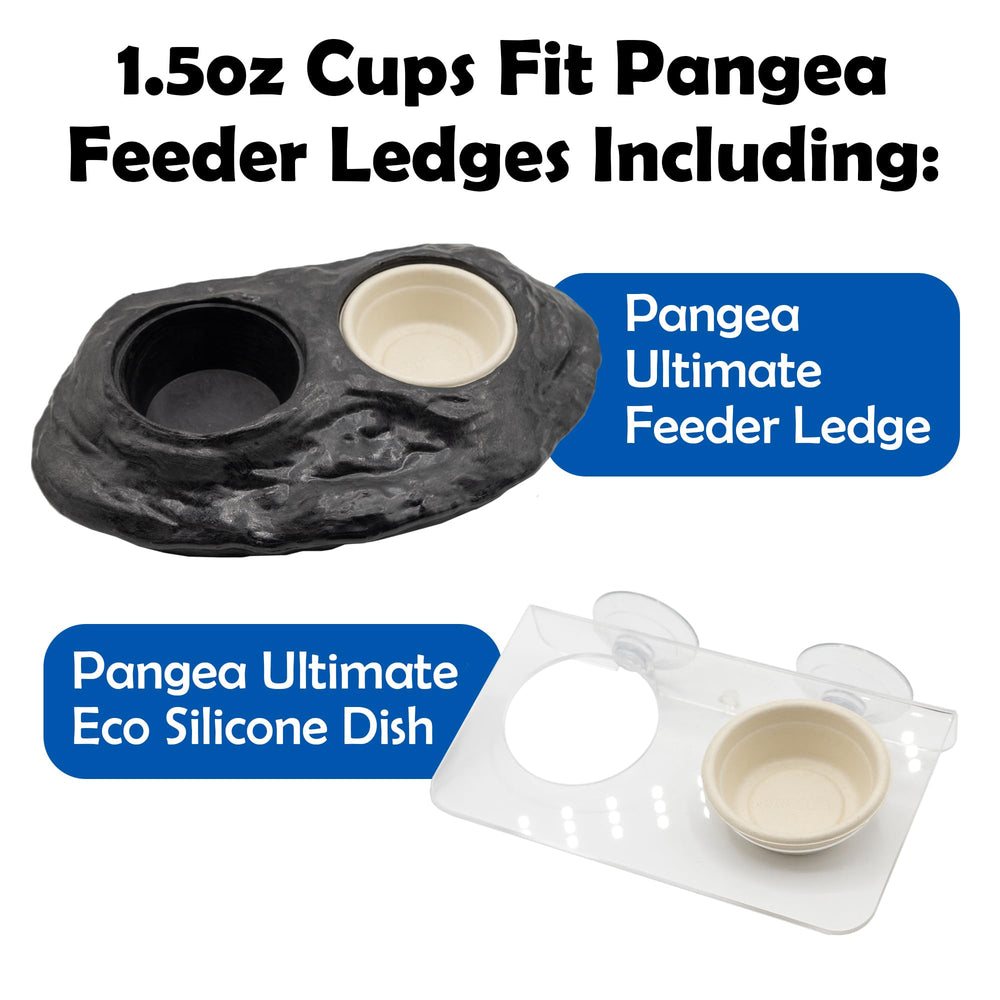 Pangea ledge-compatible setup with cups in use