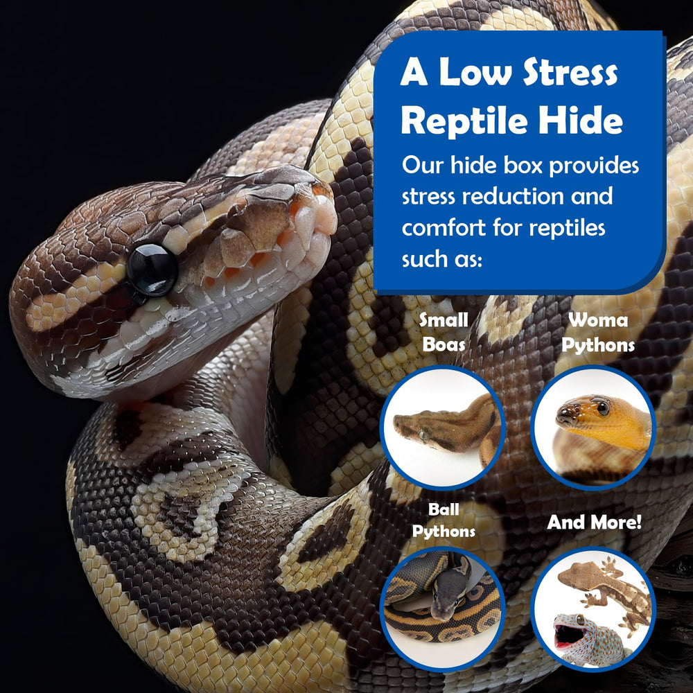 Pangea Reptile Hide Box inside 2x4 tub fits snugly for secure hides.