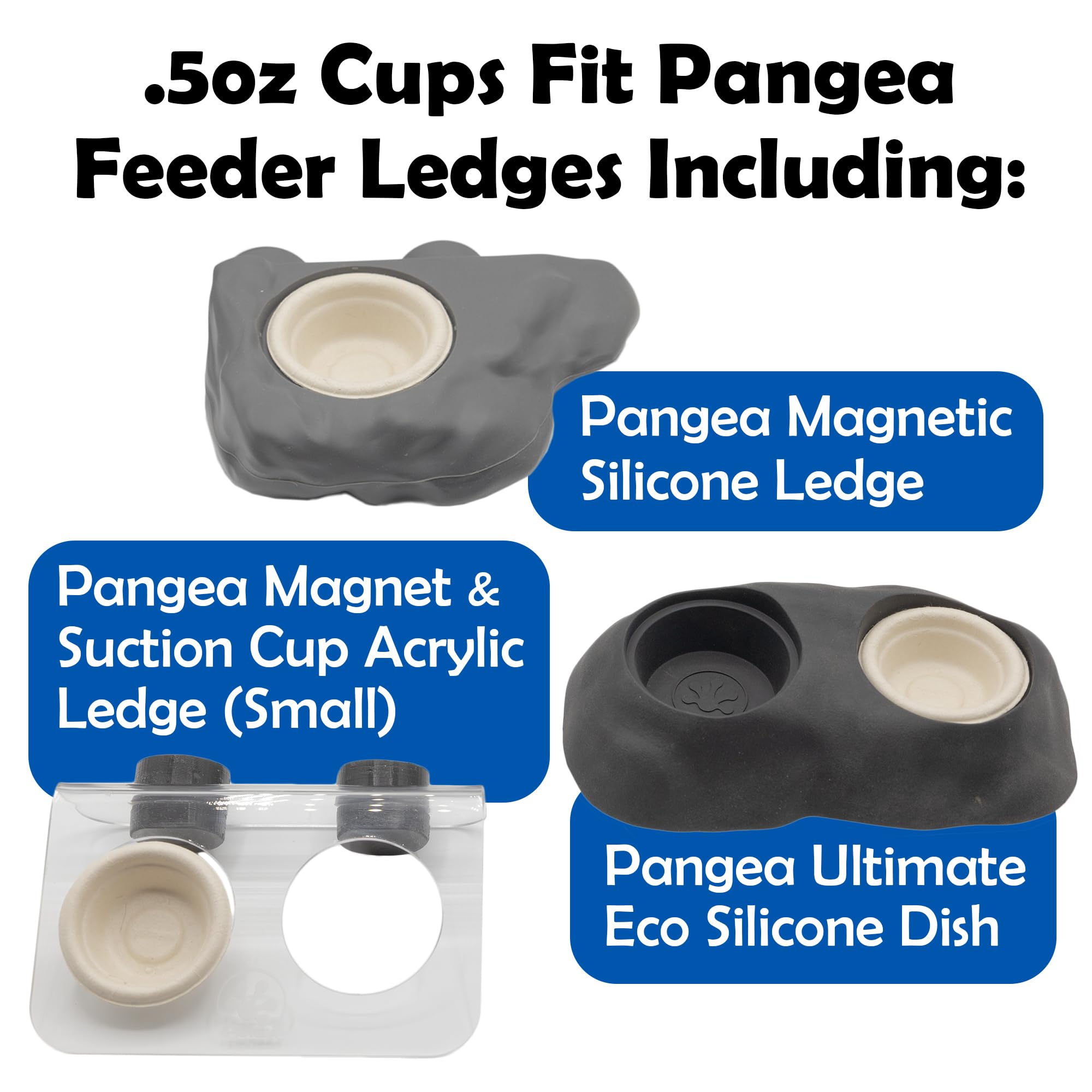 Pangea Gecko cups on small acrylic ledges for quick meals.