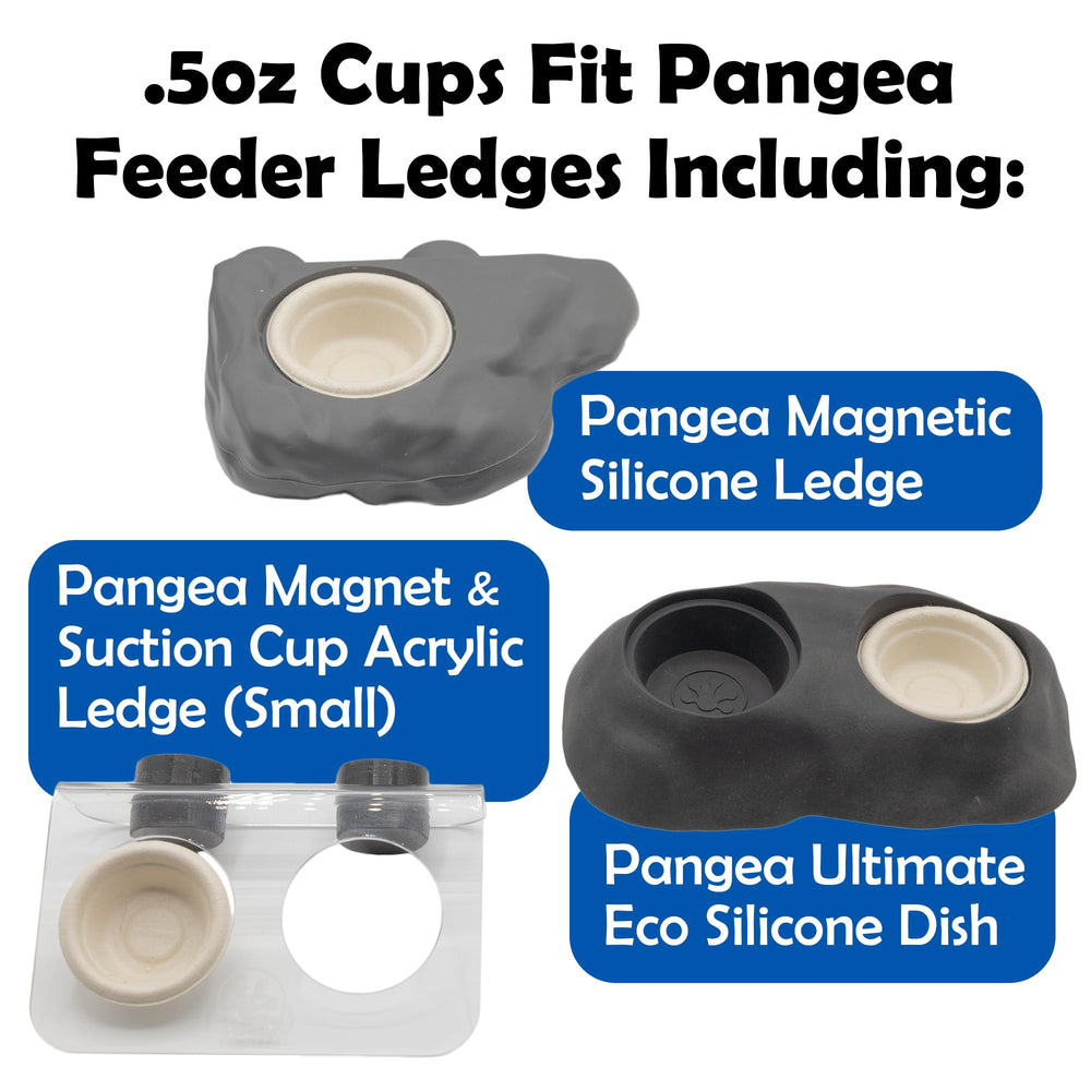 Pangea Gecko cups on small acrylic ledges for quick meals.