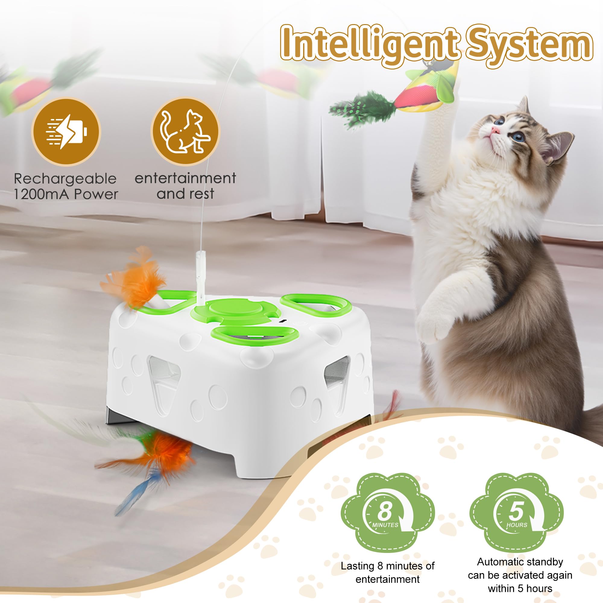 PANRIO safe-materials-rounded-edges design minimizes paw injuries during play