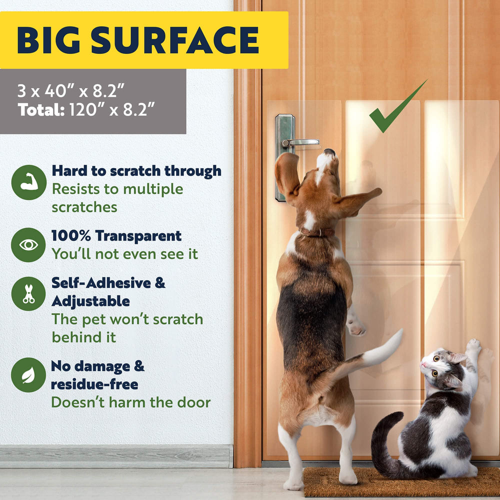 Panther Armor door-frame protection on a clean surface